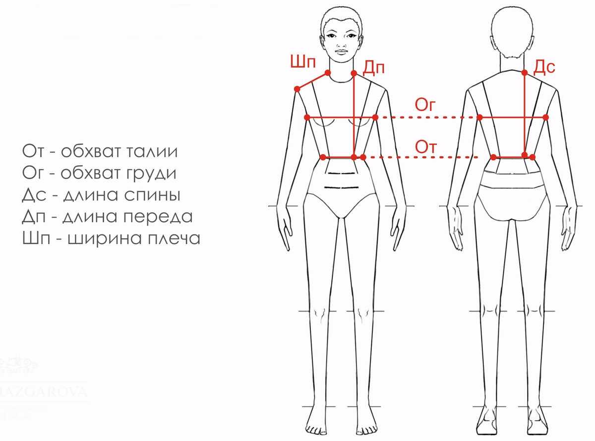 Мерка дтс при построении чертежа