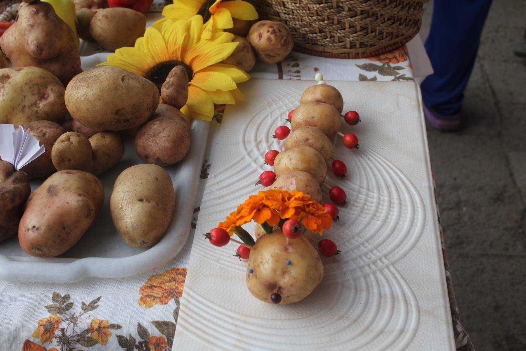 Детские поделки из обычной картошки своими руками по пошаговой инструкции с иллюстрациями Тематические осенние поделки в школу и садик