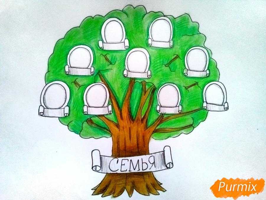 Рисунок для школьной выставки: семейное дерево своими руками поэтапно и быстро Легкие способы нарисовать красивое генеалогическое древо