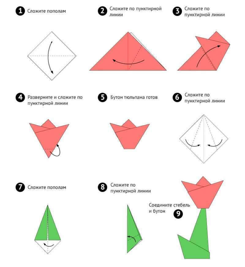 Учимся делать оригами животные: слона, собачку, кошку своими руками Как сделать красивую бабочку, кита и лису