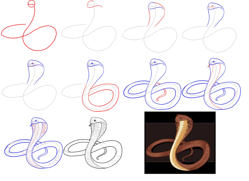 Детский рисунок змеи: основные особенности простых техник рисования для юных художников Советы, как нужно правильно рисовать змею по клеточкам карандашом