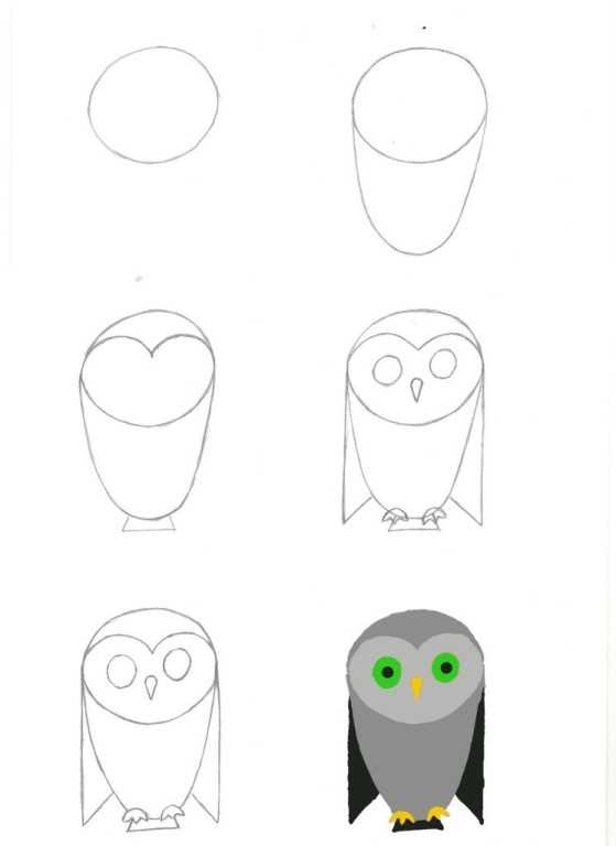 Как нарисовать сову своими руками поэтапно: мастер-класс для начинающих