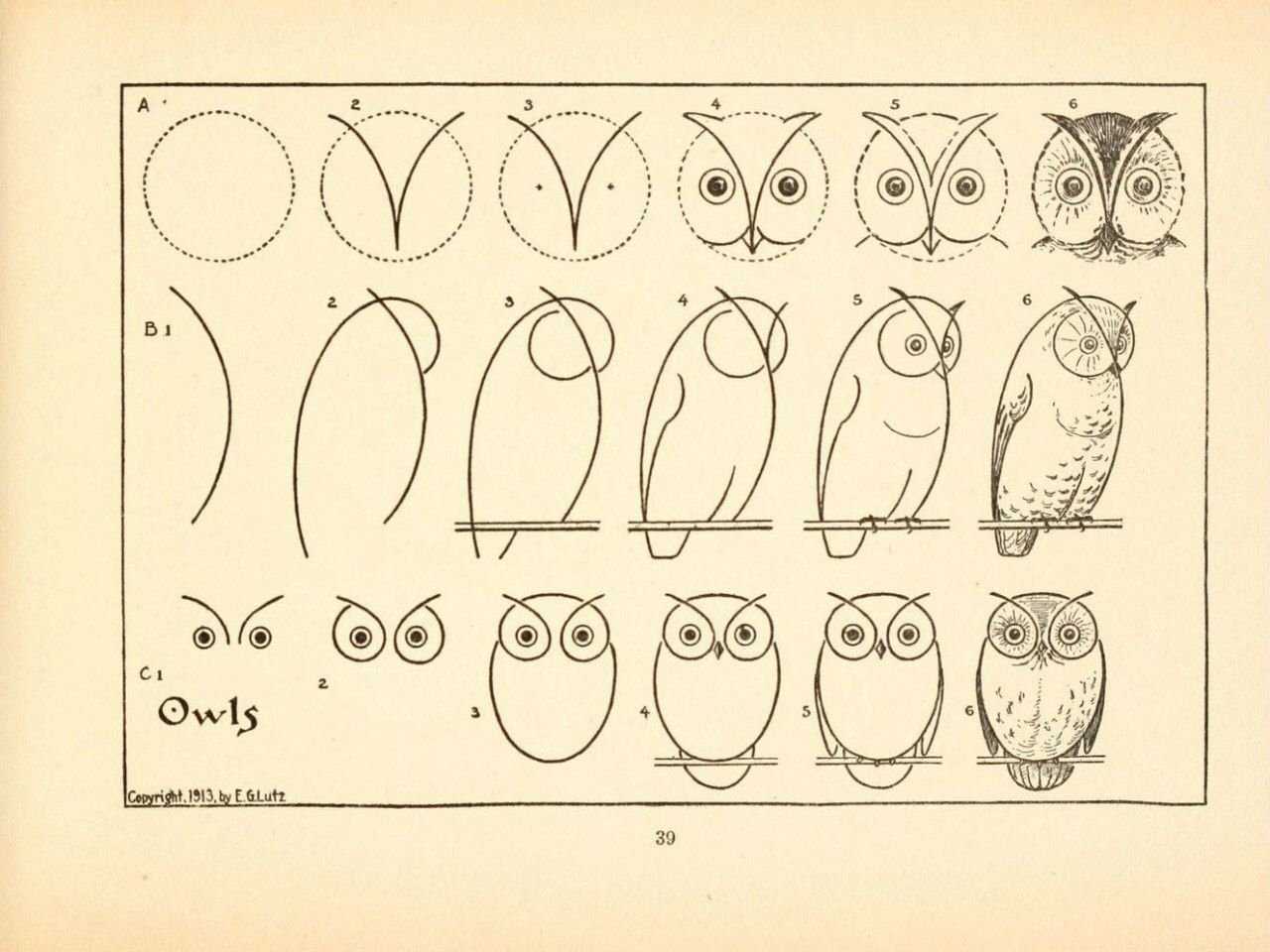Как сделать рисунок совы поэтапно карандашом