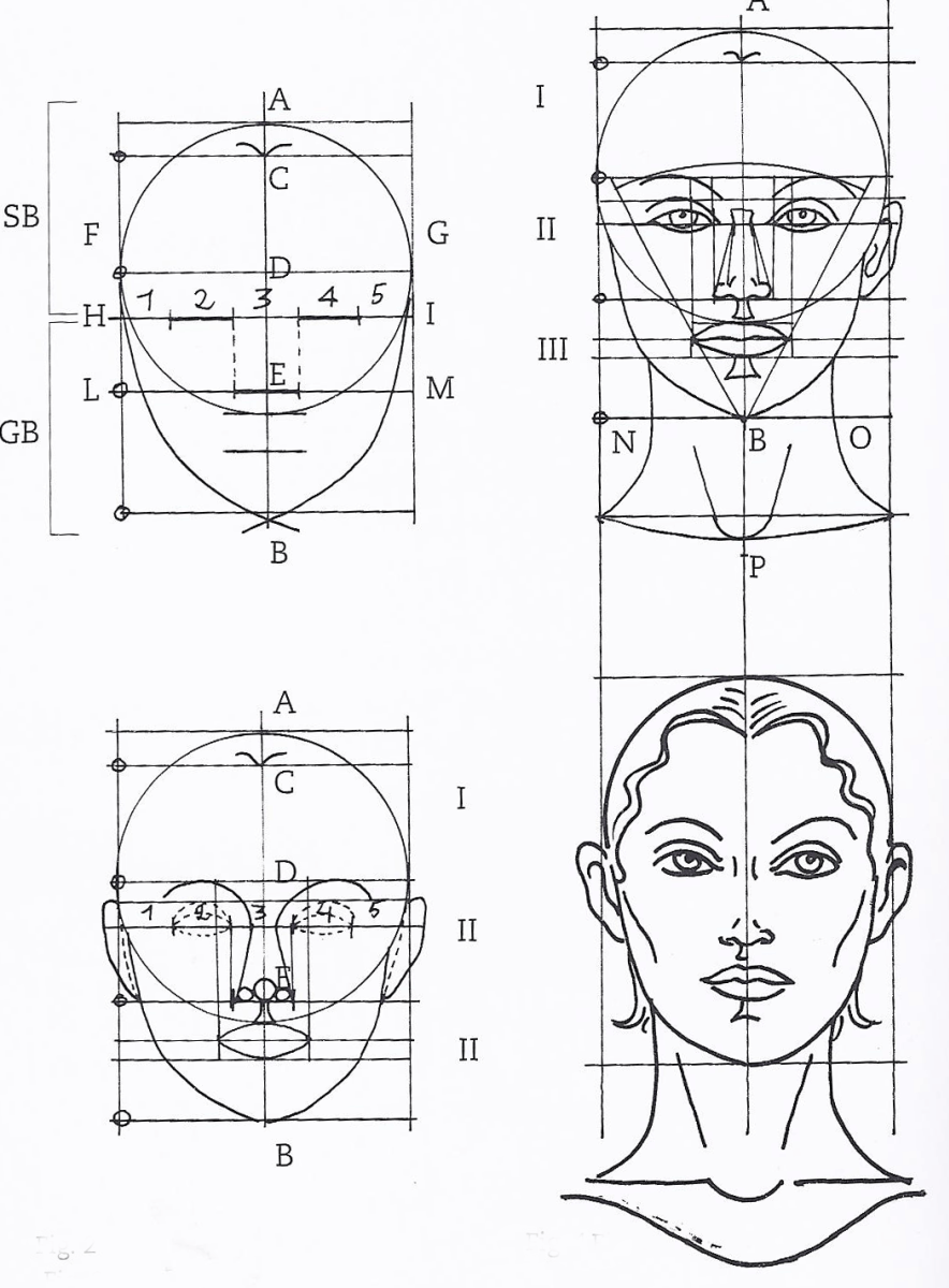 Пропорции лица человека при рисовании портрета: схема. идеальные пропорции лица
