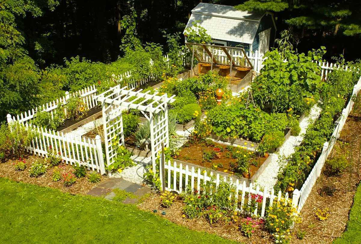 Дом сад огород своими руками фото интересные идеи