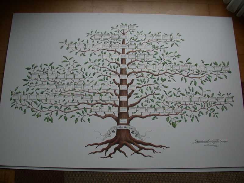 Как сделать семейное дерево своими руками онлайн бесплатно: программа для создания генеалогического древа с пошаговым описанием