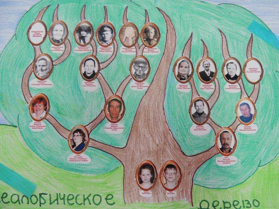 Как нарисовать семейное дерево: своими руками ребенку в школу
