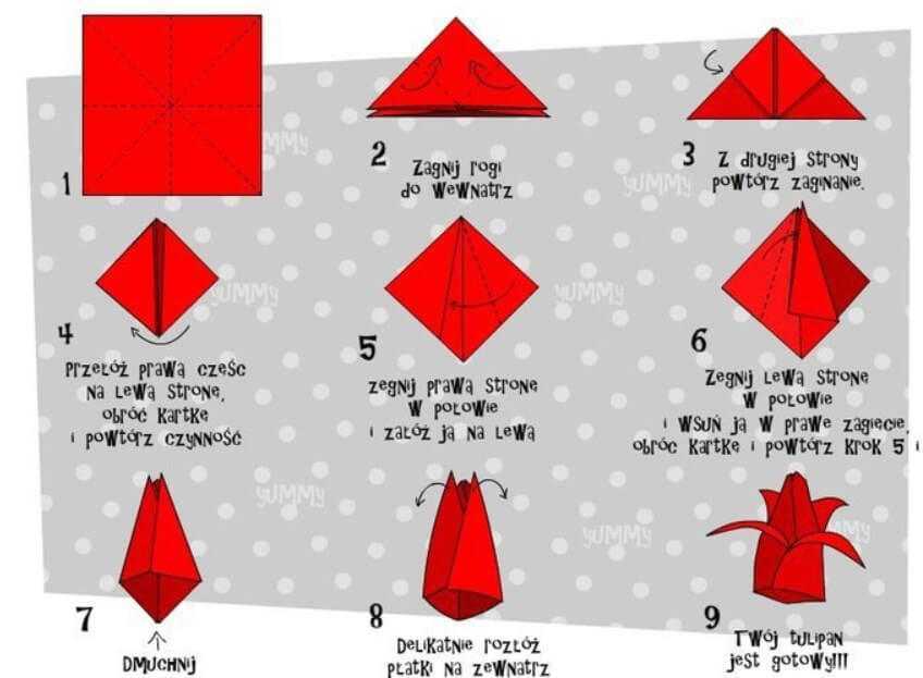 Как сделать тюльпан из бумаги поэтапно. Оригами тюльпан из бумаги схема для детей. Оригами тюльпана из бумаги схема пошаговая инструкция. Схема оригами тюльпана для начинающих. Тюльпаны оригами из бумаги своими руками схемы.