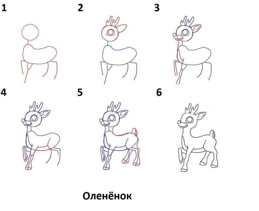 Как нарисовать животных - поэтапная инструкция для детей и взрослых. рекомендации, как правильно работать с карандашом