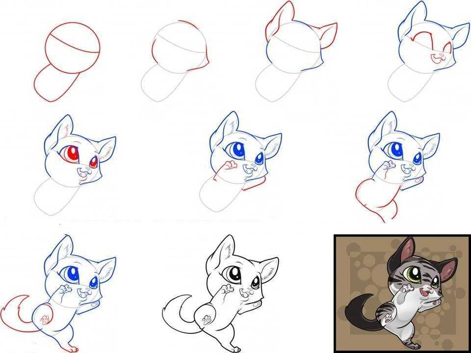 Как начать рисовать. Поэтапные рисунки котиков. Как нарисовать кота поэтапно. Поэтапный рисунок кошки. Как нарисовать котенка.