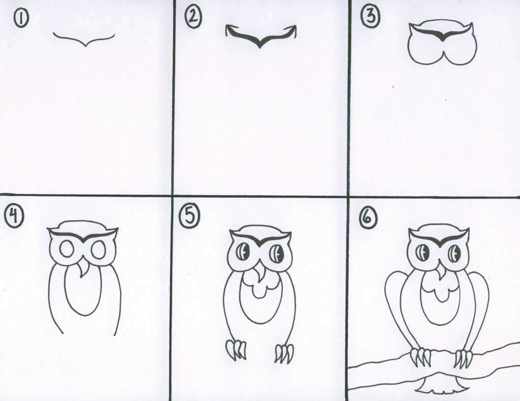 Как нарисовать сову: птицу карандашом поэтапно