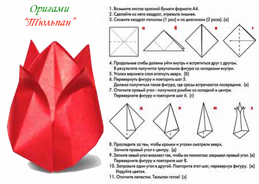 Как сделать тюльпан из бумаги поэтапно. Тюльпан оригами схема пошагово. Схема оригами из бумаги тюльпан поэтапно для начинающих. Схема складывания тюльпана оригами. Оригами из бумаги для начинающих тюльпан схема пошагово.