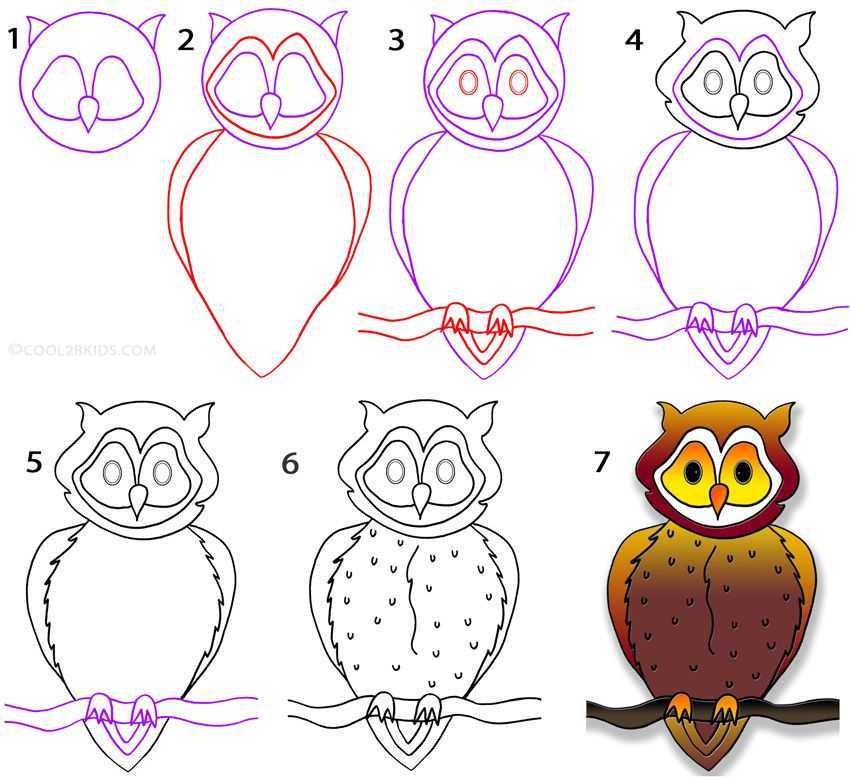 Как нарисовать сову поэтапно 10 уроков
