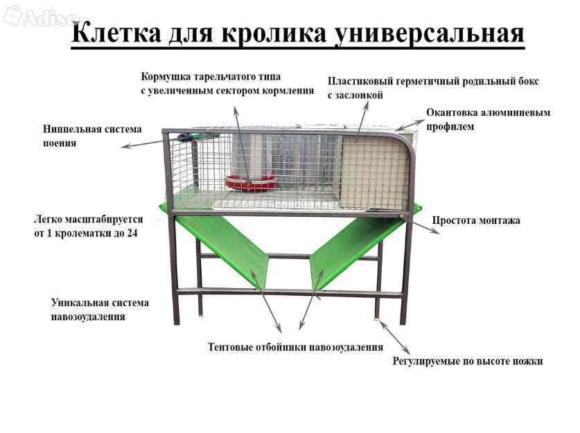ᐉ двухъярусные клетки для кроликов своими руками: варианты конструкции, пошаговая инструкция - zooon.ru
