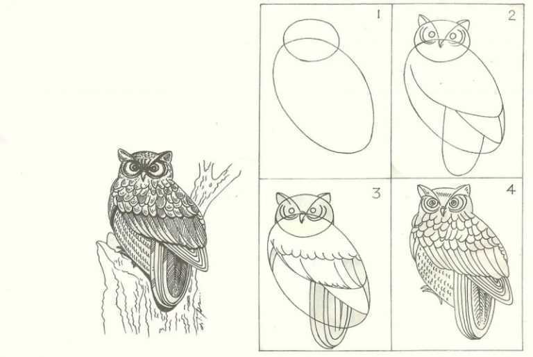 Как нарисовать сову своими руками - легкий урок рисования для начинающих