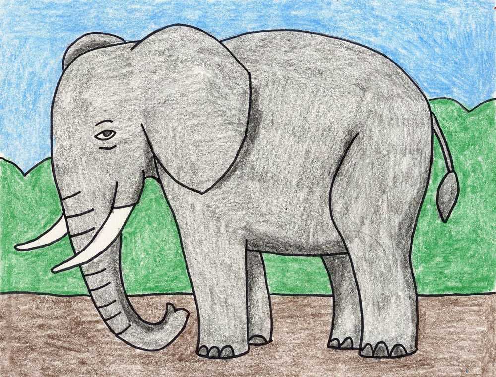 Рисование слона. Слон рисунок. Слон для рисования детей. Слон карандашом. Как нарисовать любое животное