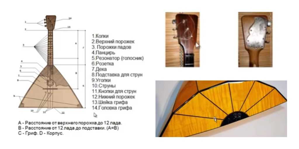 Балалайка размеры чертеж