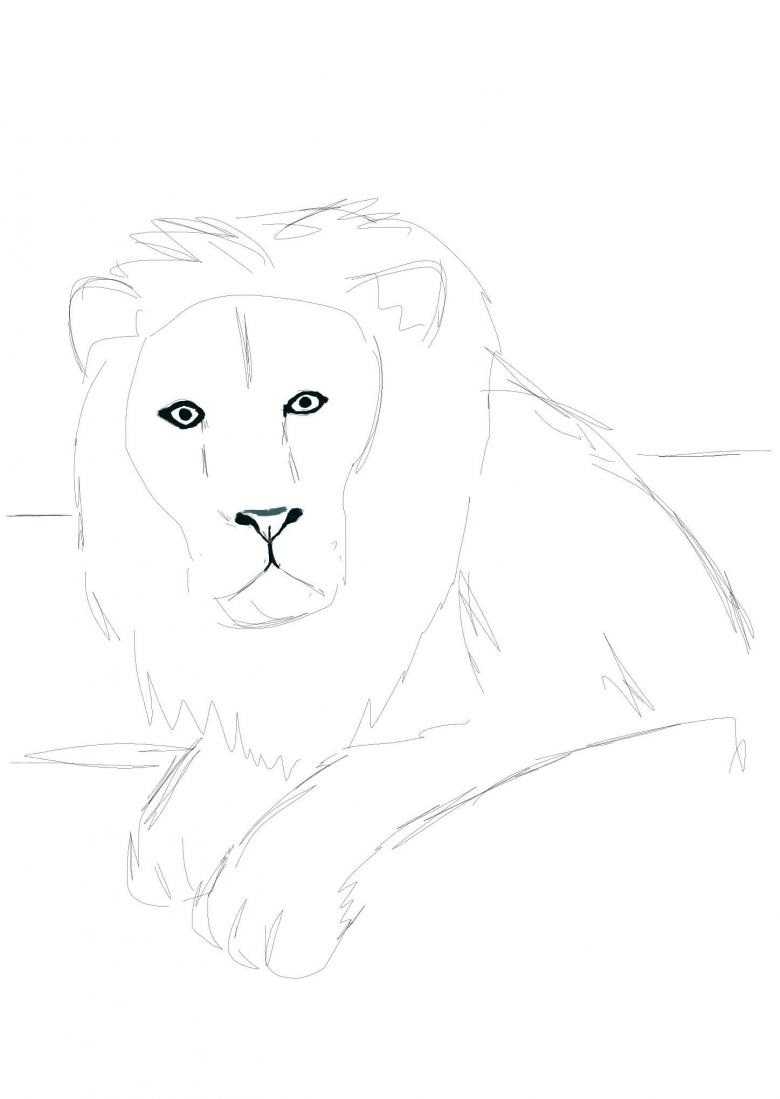 Как нарисовать льва ребенку