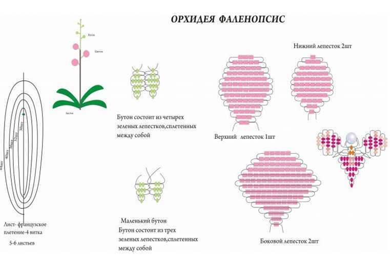Материалы, необходимые для изготовления орхидеи Орхидея из бисера  плетение, сборка цветка и грунта Фото идеи и советы для начинающих
