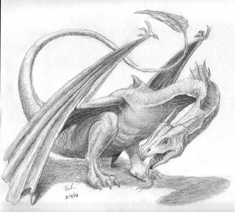 Как нарисовать дракона поэтапно карандашом — подборка интересных мастер-классов для начинающих