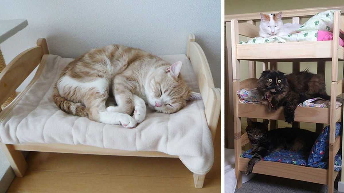 Надо спать кровати. Кроватка для кошки икеа. Кроватка для кота икеа. Кот в кровати. Приставная кровать для кота.