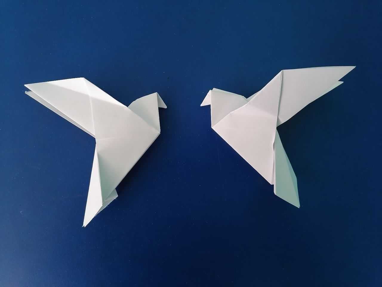 Бумажный оригами голубь: инструкции и схемы