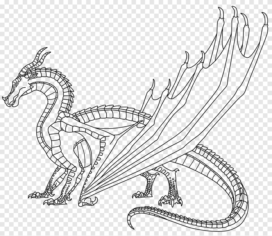 Как нарисовать дракона с одной и тремя головами: характер создания рисунка и подробные поэтапные мастер-классы