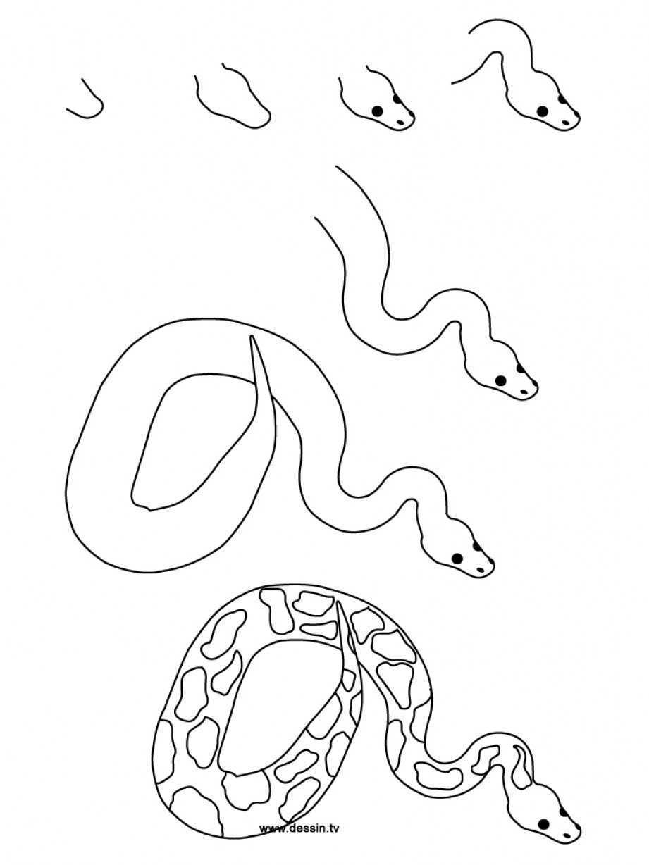 Простая змейка. Змея карандашом. Рисунок змеи для срисовки. Как нарисовать змею. Поэтапное рисование змеи.