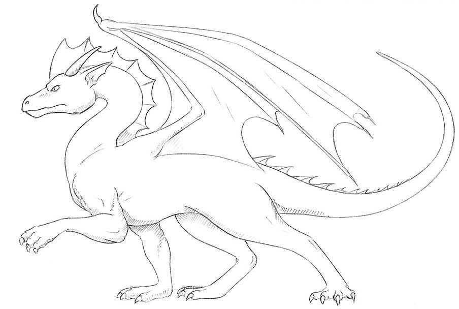 Как нарисовать дракона поэтапно карандашом: схема создания рисунка для начинающих. учимся рисовать красивого дракона своими руками