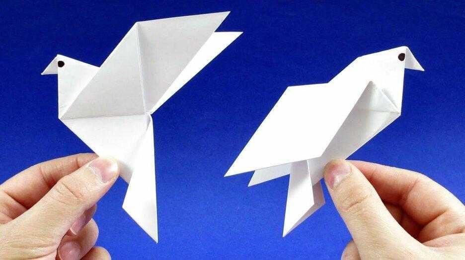 Оригами голубь из бумаги: схема поэтапно для начинающих