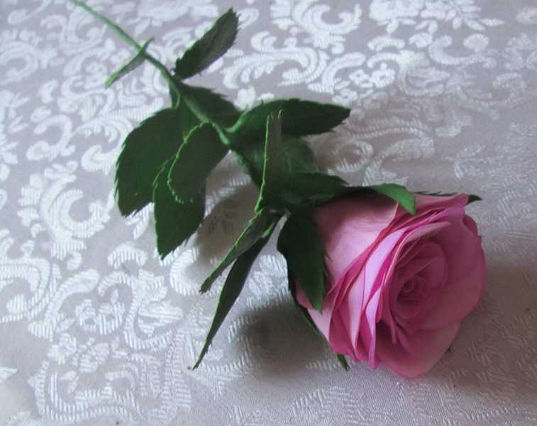 Роза из фоамирана своими руками для начинающих пошагово с фото