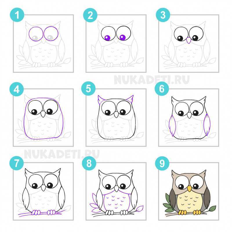 Как нарисовать сову поэтапно для детей — megamaster.info