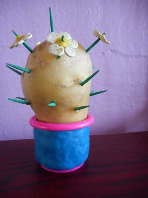 Поделки из картошки: 100 фото идей для детей школы и детского садика